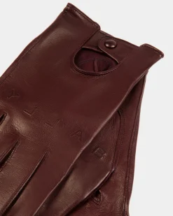 Adrien Brody Travel Collection Gloves In Brown Leather