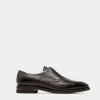 Scribe Novo Derby Shoes In Black Leather