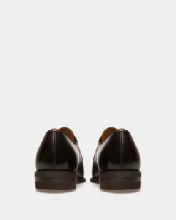 Scribe Novo Derby Shoes In Coffee Leather